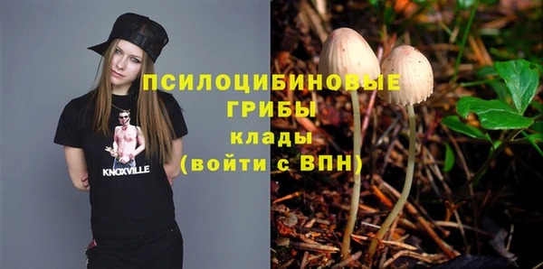 прущая мука Армянск